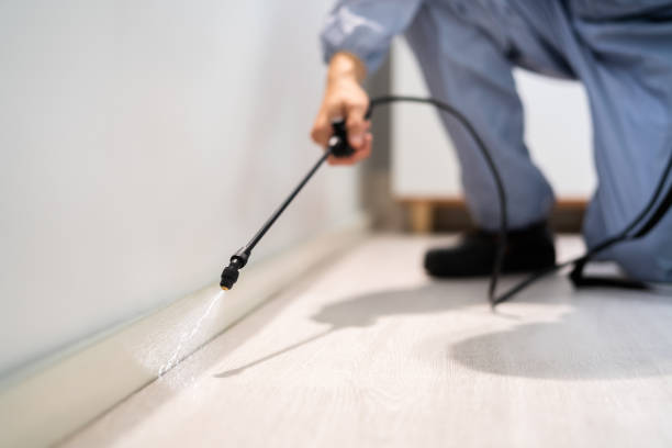 Licensed Mosquito Control service in César Chávez, TX - Show Me Pest Control