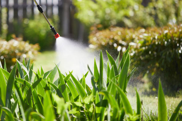 24/7 Emergency Mosquito Control experts in César Chávez, TX