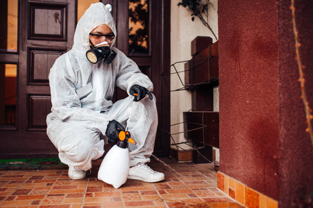 Reliable Mosquito Control contractor in César Chávez, TX by Show Me Pest Control
