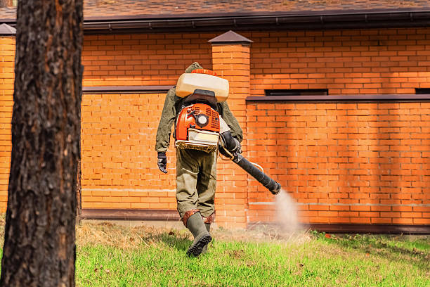 Top rated local Mosquito Control specialists in César Chávez, TX